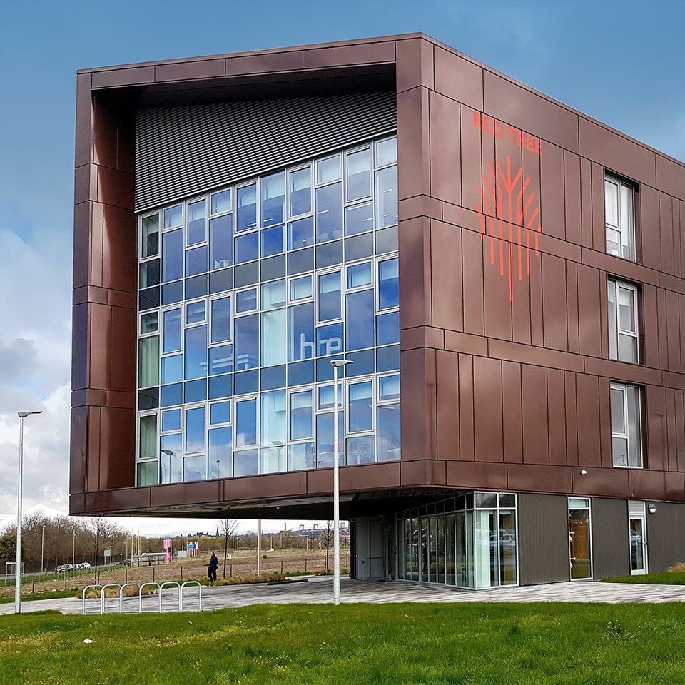 Red Tree Magenta Offices